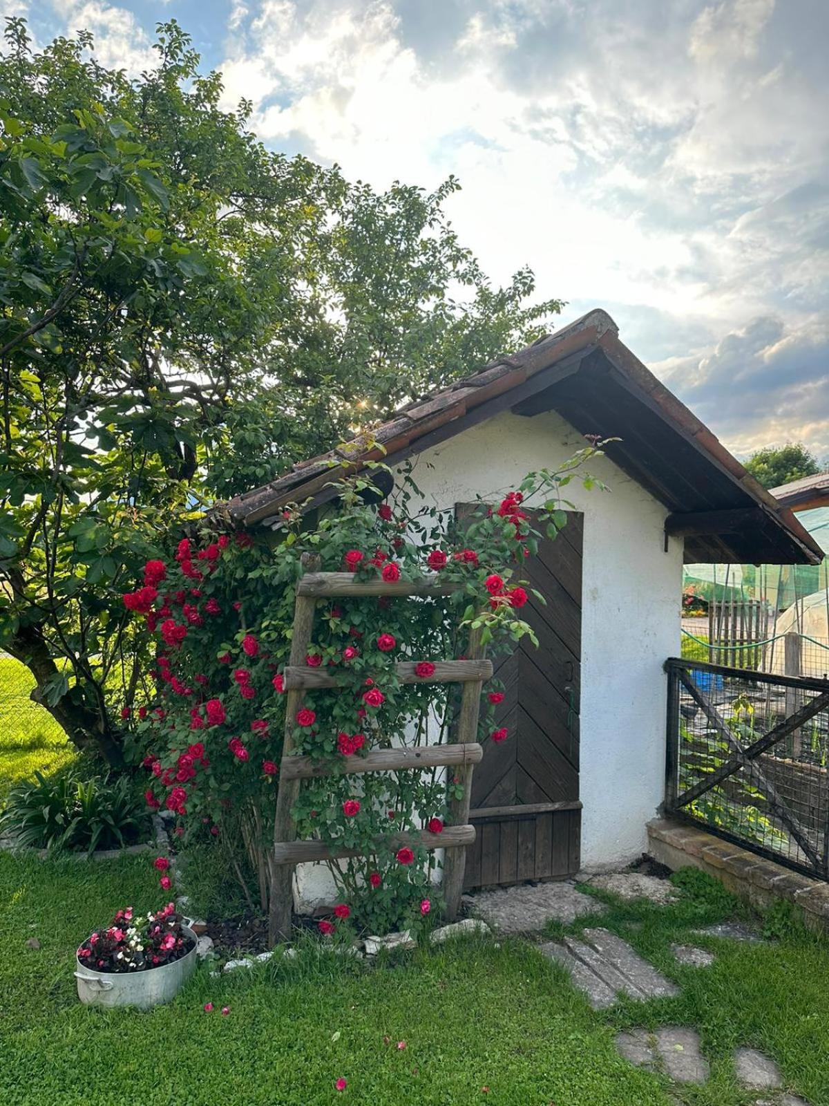 Casa Giovannella Feltre Exterior photo